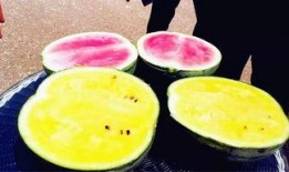 52爆料吃瓜网,揭秘娱乐圈最新热点事件